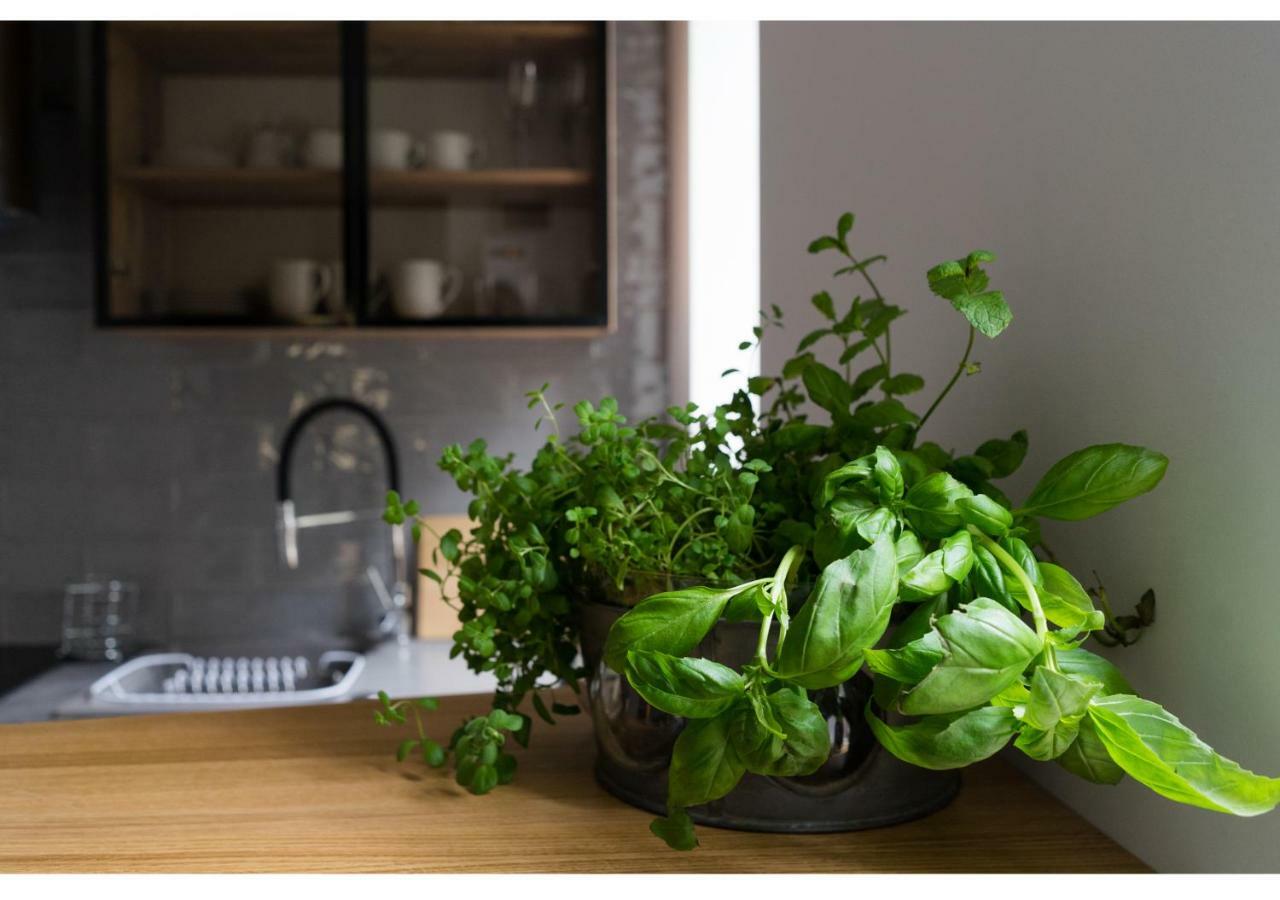 Gostynin Garden Apartment Ngoại thất bức ảnh